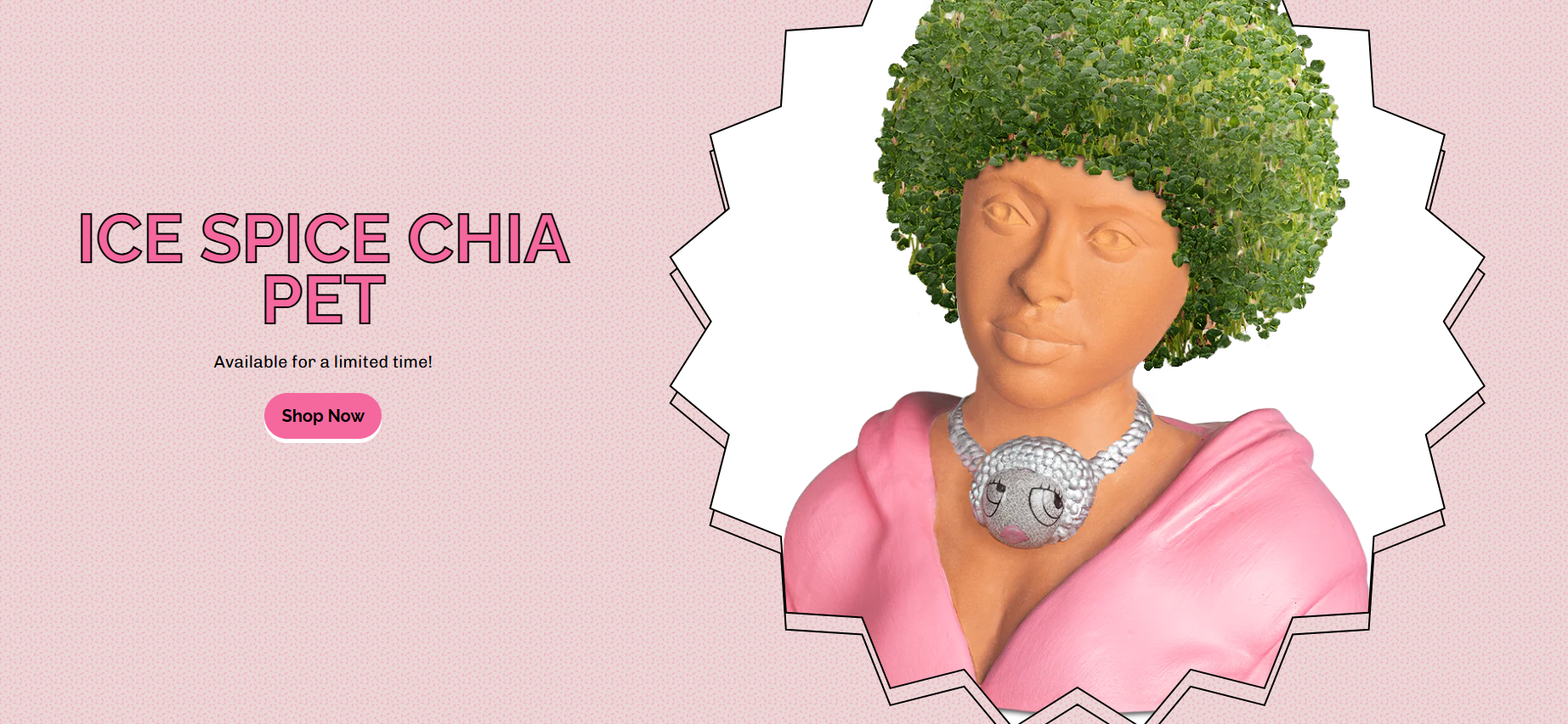 Natural Living, Beautifully Refined